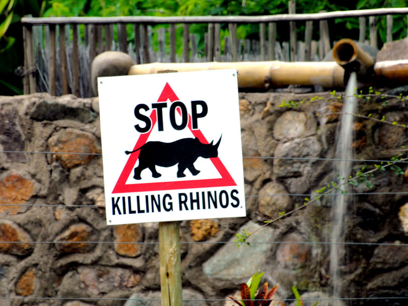 "Pare com a morte de rinocerontes", diz placa no Kruger National Park, na África do Sul. Foto: