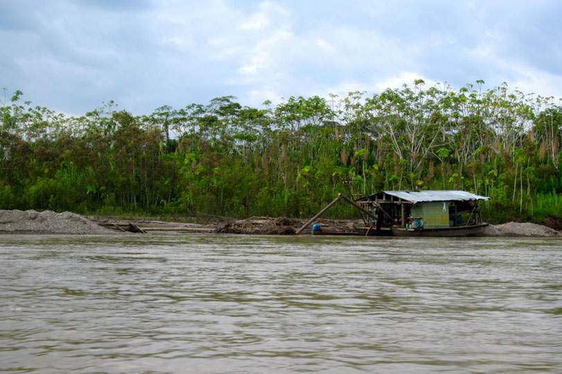 Quase noventa por cento do desmatamento provocado pela mineração ocorre em apenas quatro regiões, entre elas Madre de Dios, no Peru (foto). Na região, em cada hectare de floresta, são encontradas mais de trezentas espécies diferentes de árvores. Foto: Divulgação/Duke University