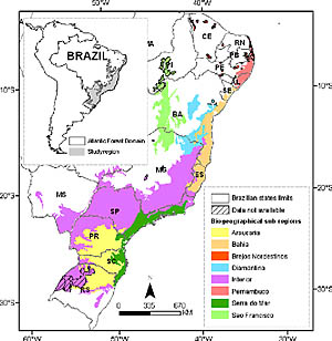 Área originalmente coberta pela Mata Atlântica no Brasil. (Imagem: Divulgação)