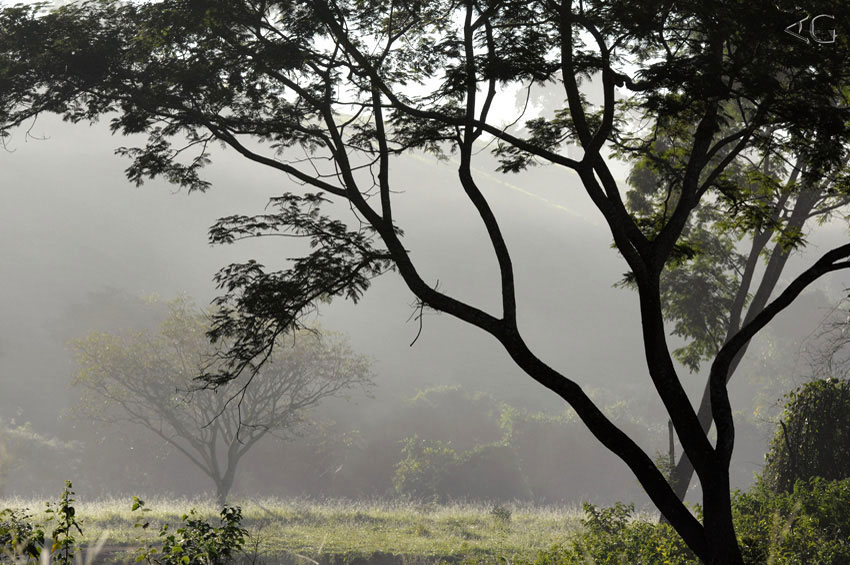 Enquanto isto, o “Serengeti” goiano nos aguarda...