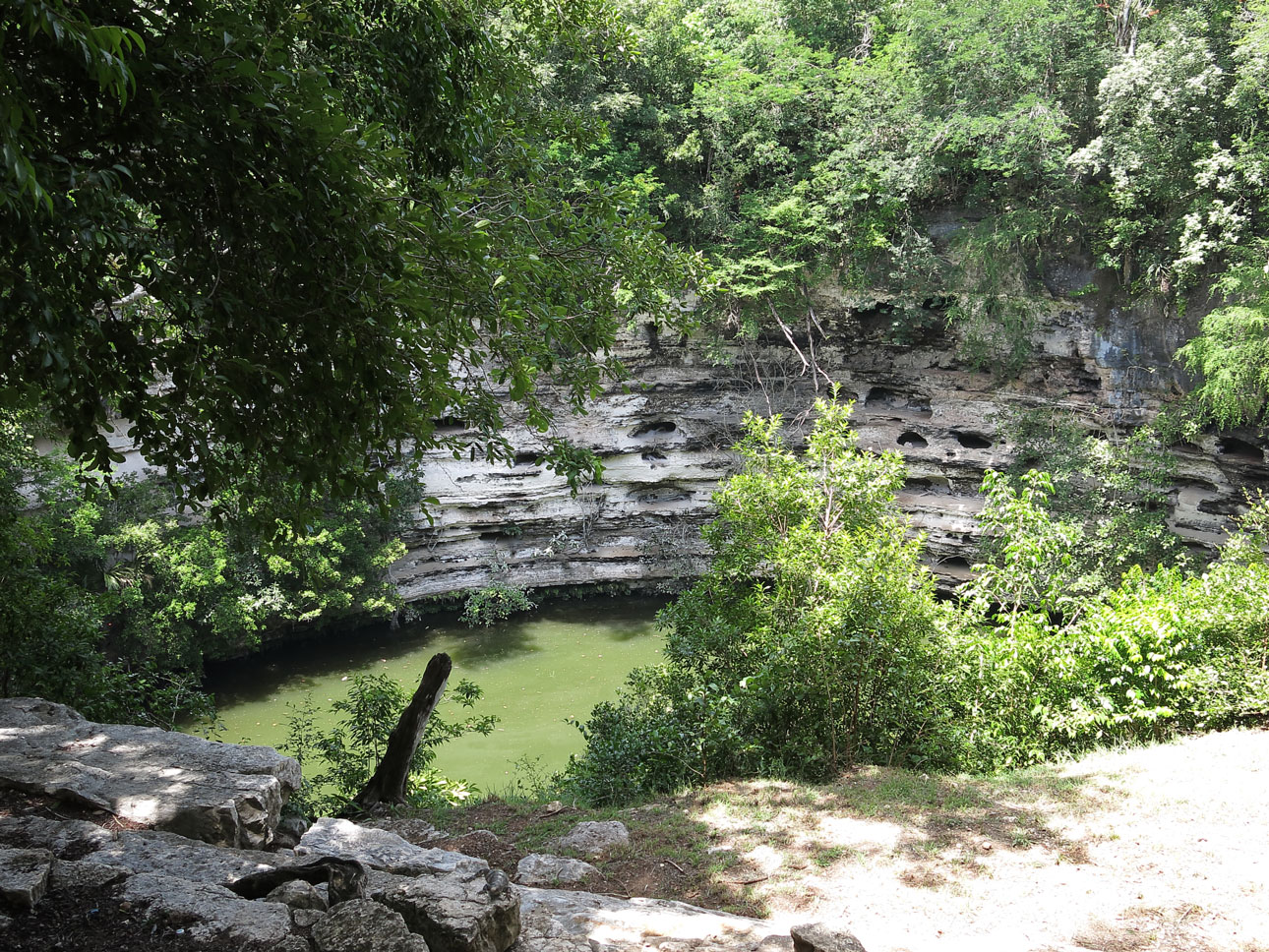 Chen Ku, o “poço de deus” cheio de cianobactérias pouco saudáveis, na cidade maia de Chichen Itza. Foto: Fábio Olmos