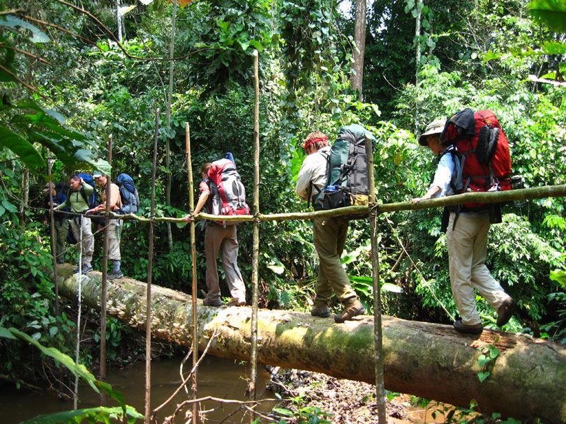 Ponte improvisada dentro do Parque Nacional Cordillera Azul. Foto: