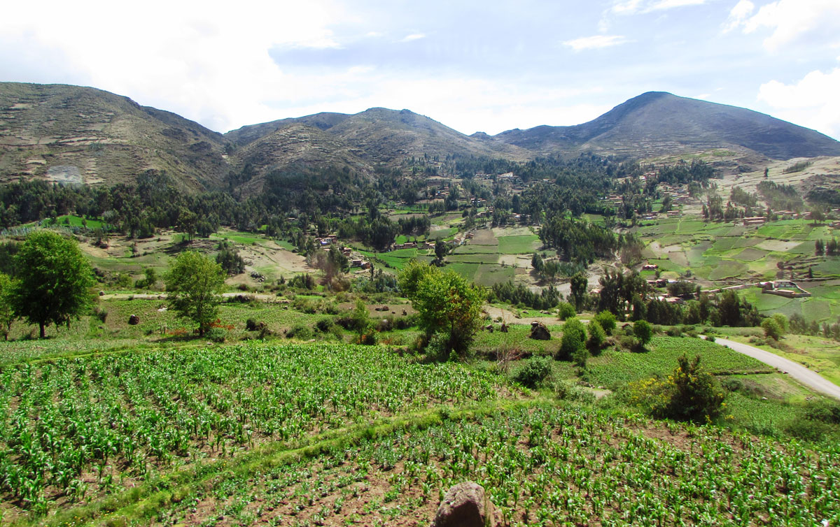 Em primeiro plano, plantações de batata em terraços do vale.