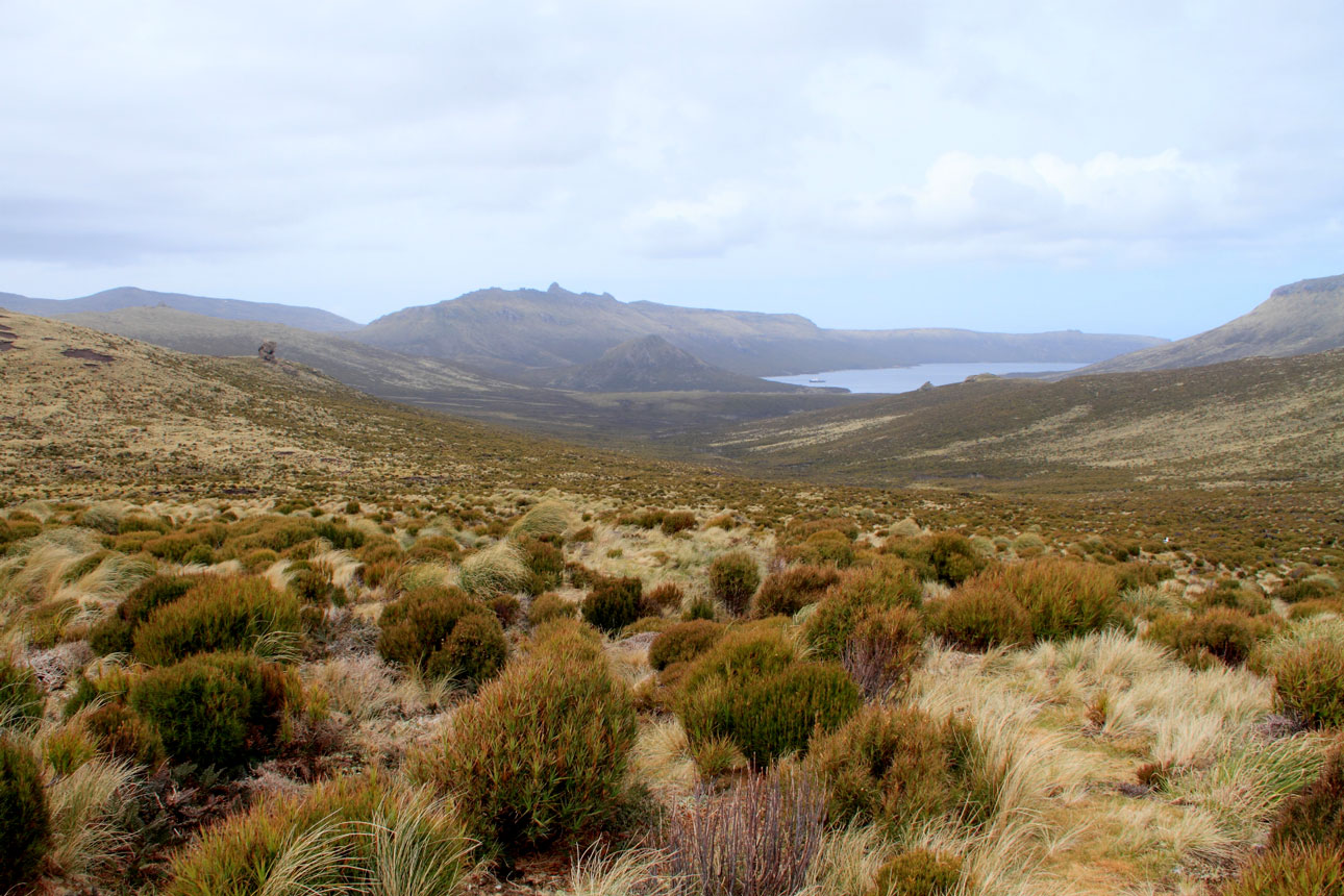 Perseverance Bay, onde nosso navio ancorou, vista do Lyall Coll, uma das partes mais altas da ilha. Fotos: Fabio Olmos