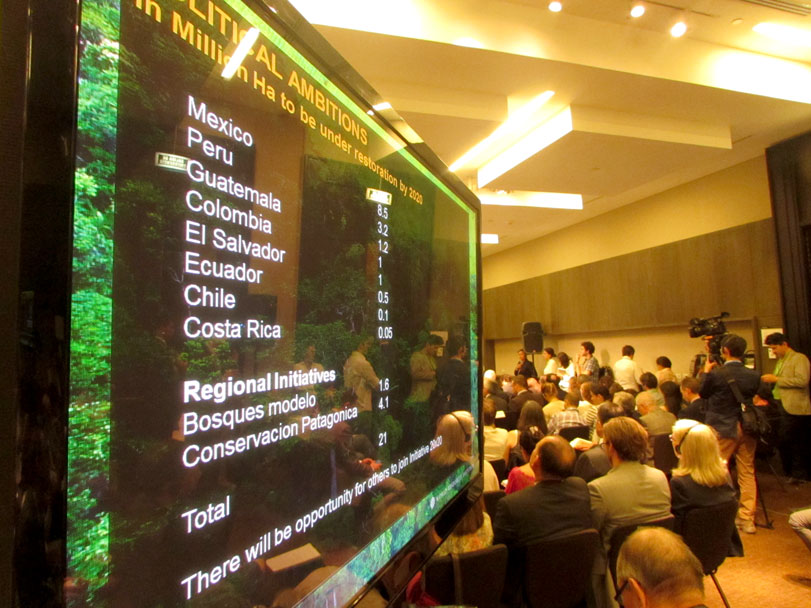 Lançamento da Iniciativa 20x20, no Global Landscapes Forum. Foto: Fabíola Ortiz