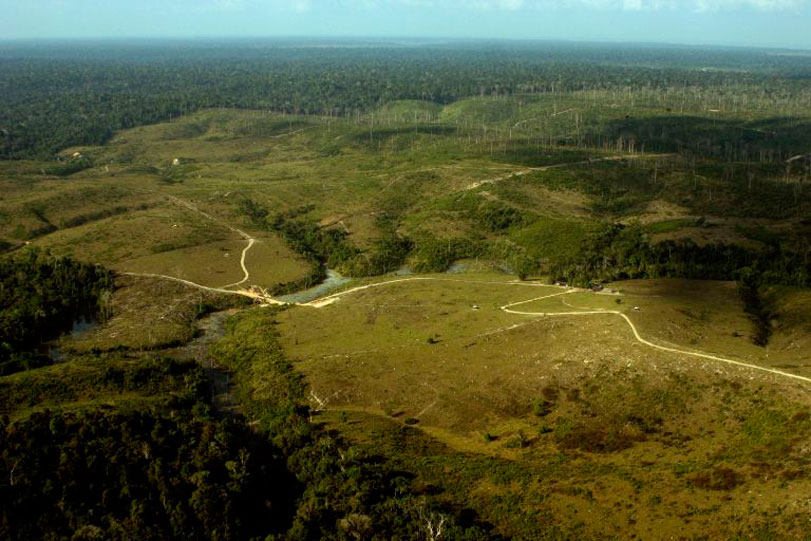 O desmatamento se intensifica na Amazônia. Uma das principais causas é a abertura de pastos para a pecuária. Foto: