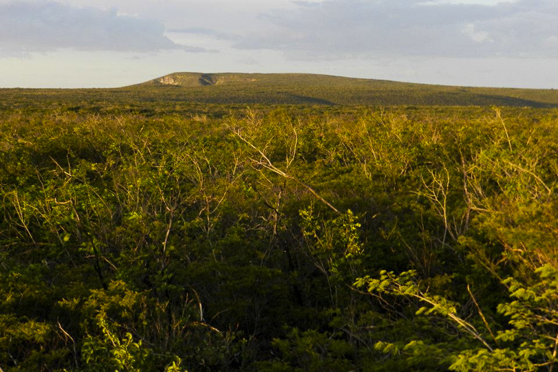 Vista do região do Boqueirão da Onça, na Bahia. Angela defende que o parque nacional planejado para a área já deveria ter sido criado há  anos. Foto: Angela Kuczach