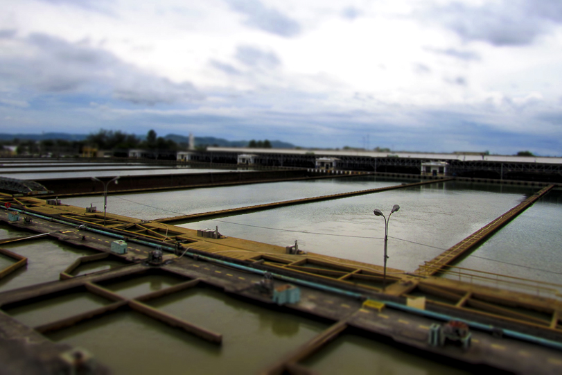 Reservatório do Sistema Guandu.