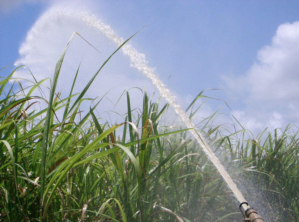 Ambiental e agroambiental não são a mesma coisa. Foto: Agromoto