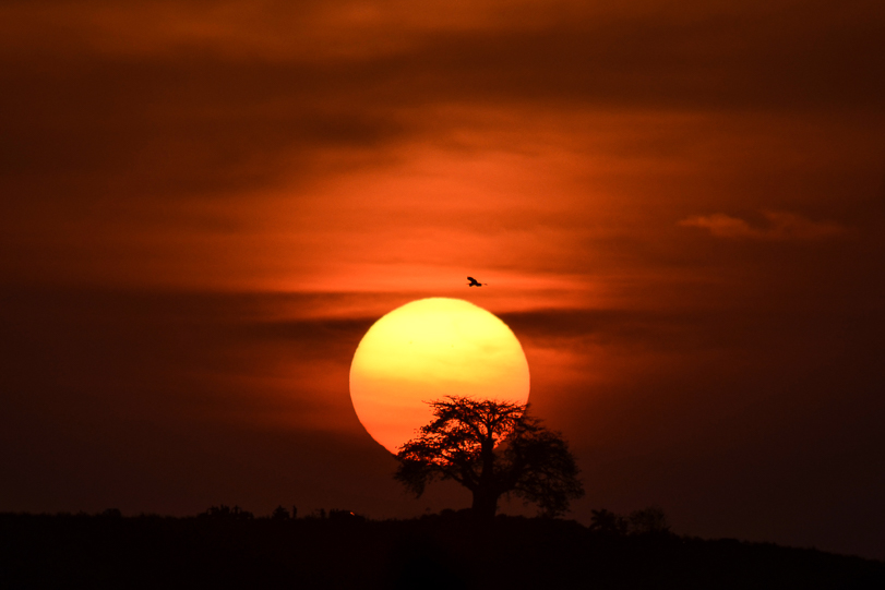 Em tempos de investidas contra a legislação ambiental, ainda bem que existe o SNUC. Foto: