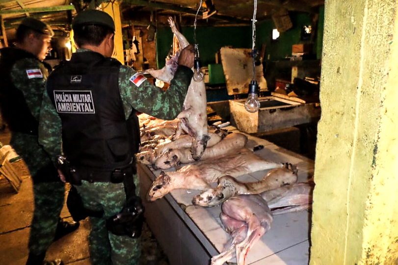 Feirante tentava mascarar a carne de caça quando foi  surpreendido pelo policiais. Fotos: BPMA/AM