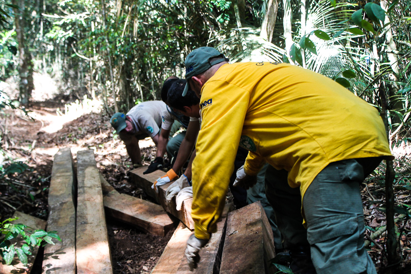 Madeira nativa aprendida pelos guarda-parques Foto: UPAM / Desengano