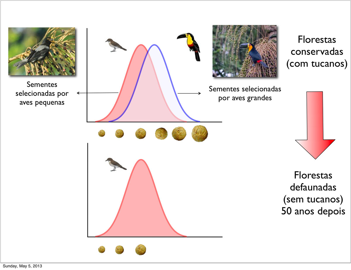 Crédito: Divulgação | Clique para ampliar