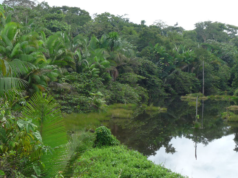Foto: Gilberto Nascimento Silva.