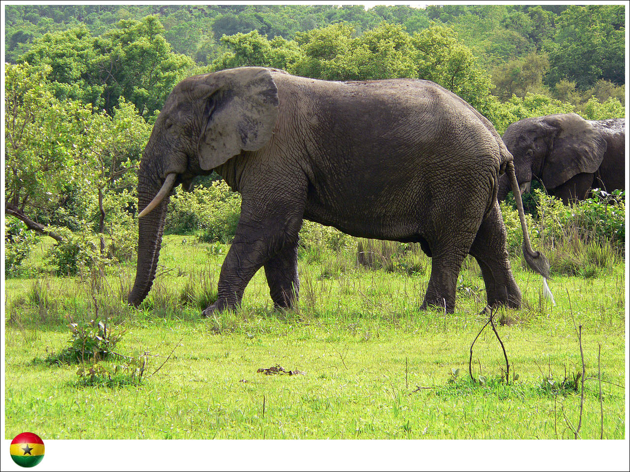 Parque Nacional Mole