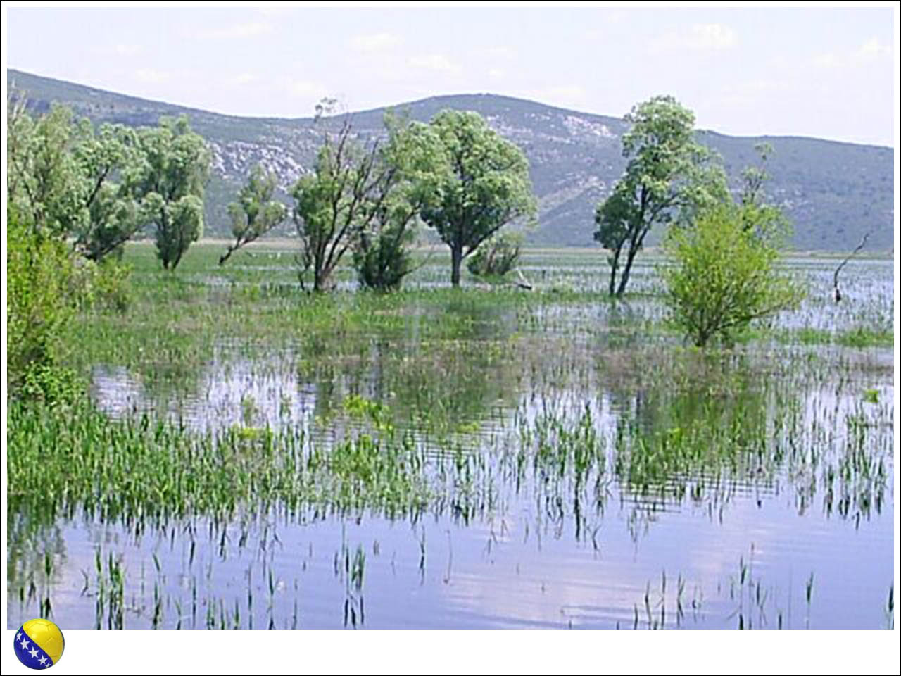 Parque Natural Hutovo Blato