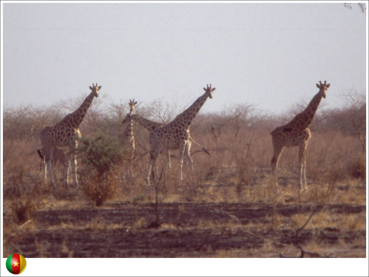 Parque Nacional Waza