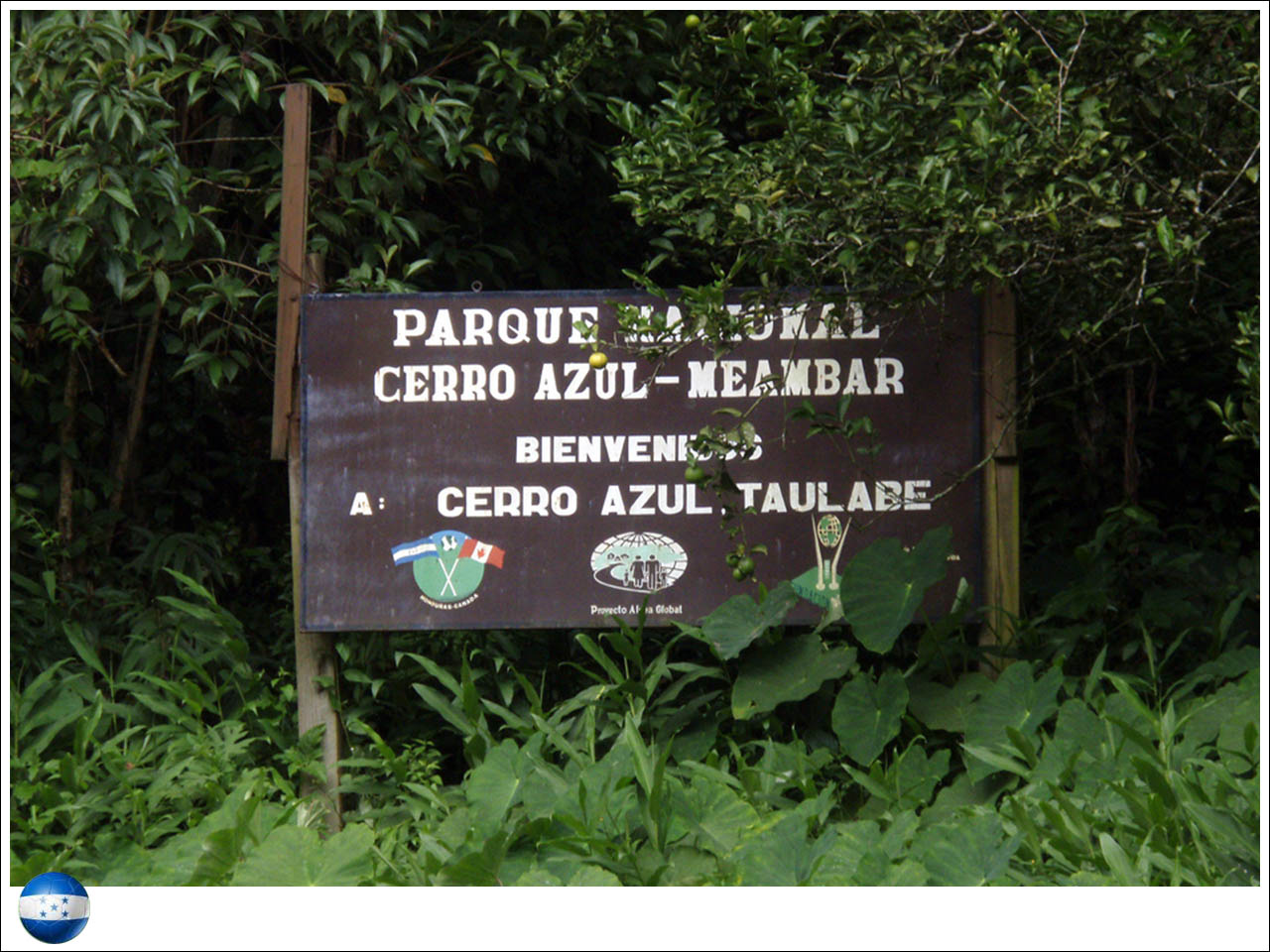 Parque Nacional Cerro Azul Meambar