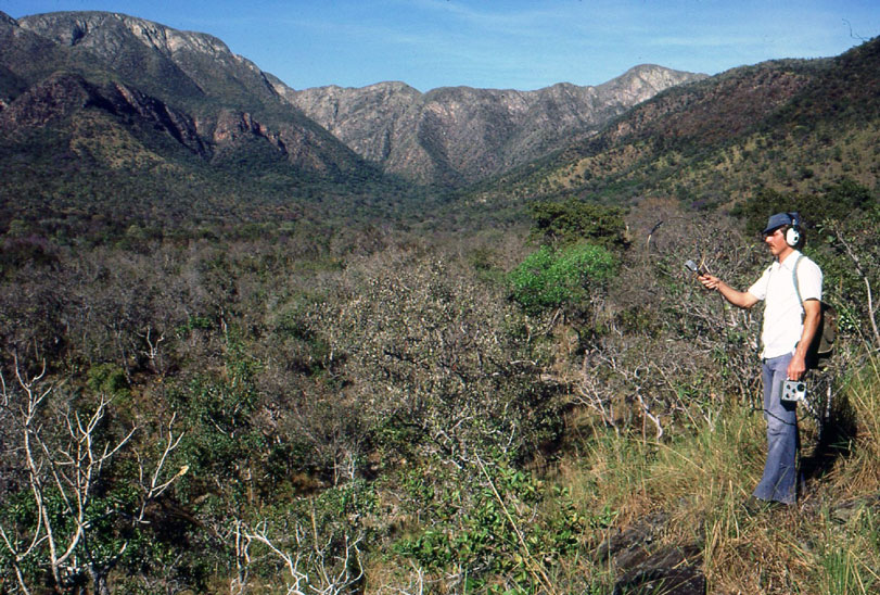 Monitoramento da pequena fêmea de onça-pintada, em Acurizal, julho de 1978. Foto: George Schaller