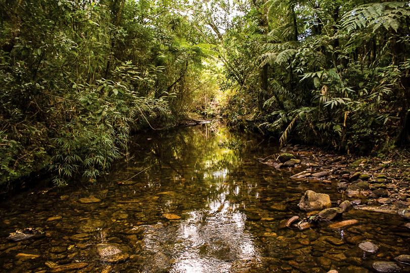 Ribeirão do Macapá. Foto: Eduardo Lage Santos / Trilhas – Parque Estadual do Desengano