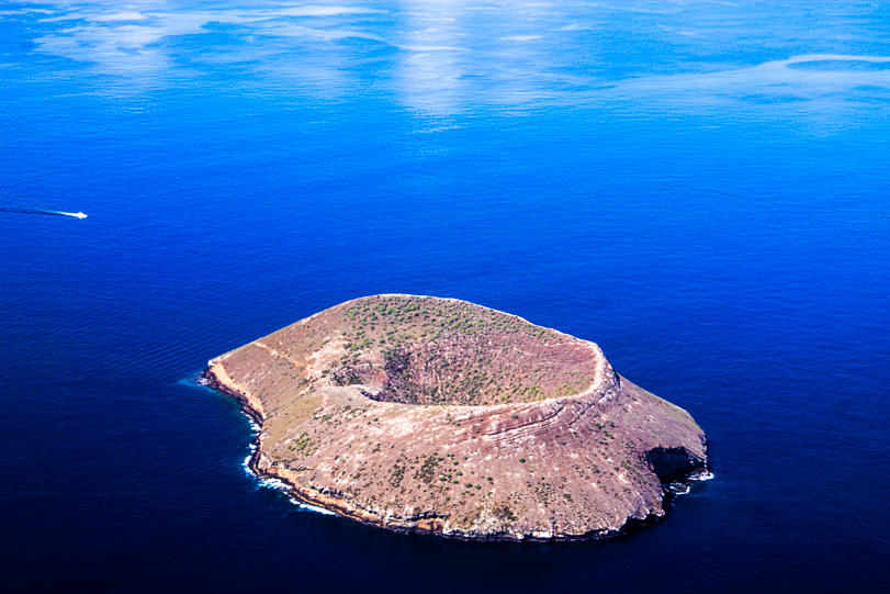 Daphne Maior em Galápagos. Foto: