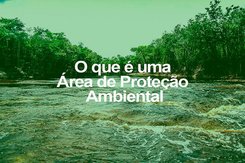 Rio Aturiá, um rio na Área de Proteção Ambiental Margem Esquerda do Rio Negro. Foto: