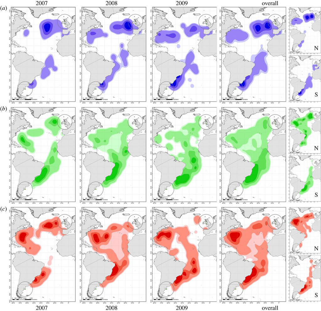 Os mapas mostram os locais onde cada comportamento é mais comum durante a migração ((a), o descanso, (b), vôo, (c), forragem). As colunas mostram as distribuições anuais. Estão excluídas as áreas de reprodução e do meio da invernada, representadas pelos círculos. | Clique para ampliar