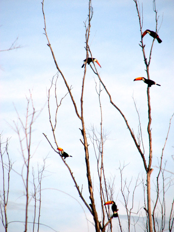 Foto: Lilian M. Costa