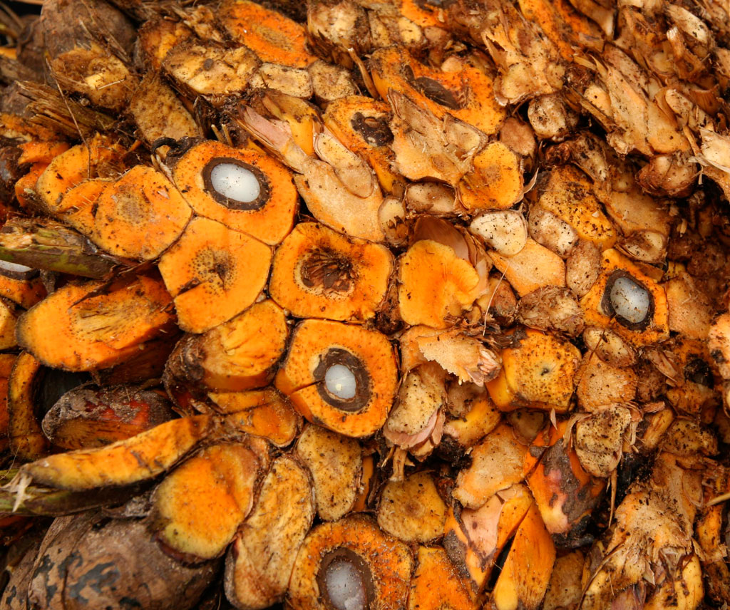 Foto: Barbara Fraser