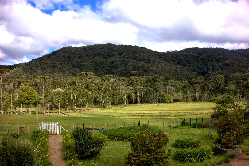 Fazenda do Bonito, na borda do Parque Nacional da Bocaina. O habitat é perfeito e tem até presa, mas nada de onça-pintada. Fotos: Eduardo Pegurier