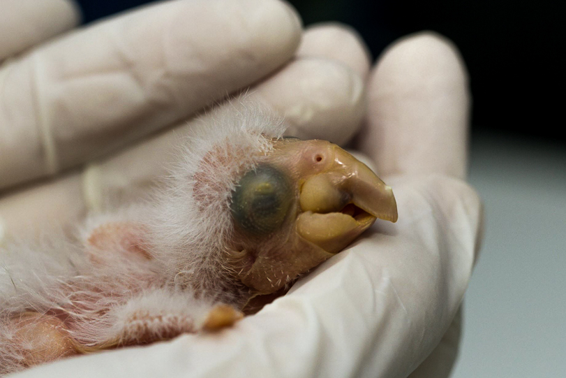 Ver a imagem de origem