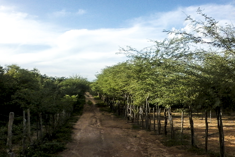 Entrada da RPPN Almirante Renato de Miranda Monteiro. Foto: Cortesia
