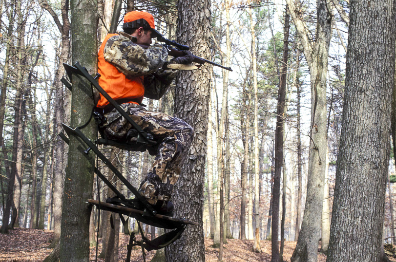 Ele pode parecer mau, mas, segundo novo estudo, gosta de proteger a natureza. Foto: Wikimedia