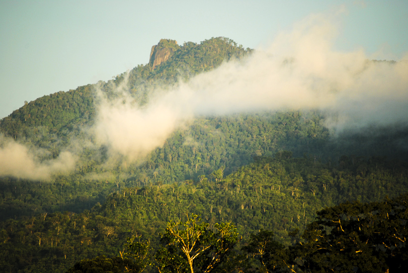 Serra do Apiaú. Foto: Sergio Marques de Souza
