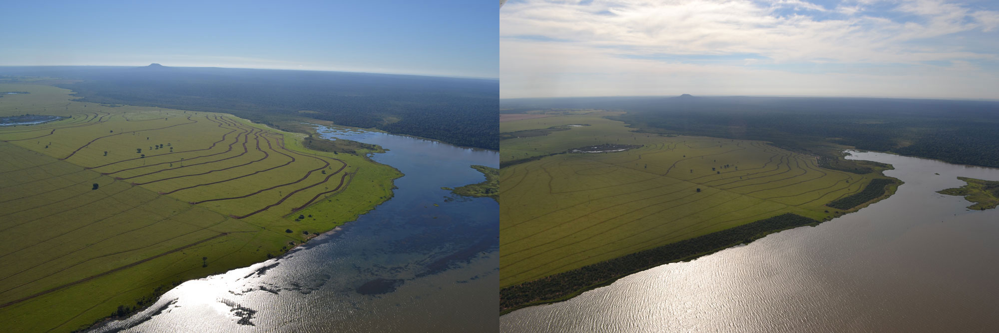 Caso de sucesso, o Corredor ecológico no Pontal do Paranapanema, na Mata Atlântica do oeste paulista, é exemplo de como o Brasil pode avançar na restauração. Na foto à esquerda, a situação em 2011, antes do corredor; e à direita, como ficou depois da restauração, com o corredor de 800 hectares margeando o rio e unindo os fragmentos de floresta. Clique para ampliar.