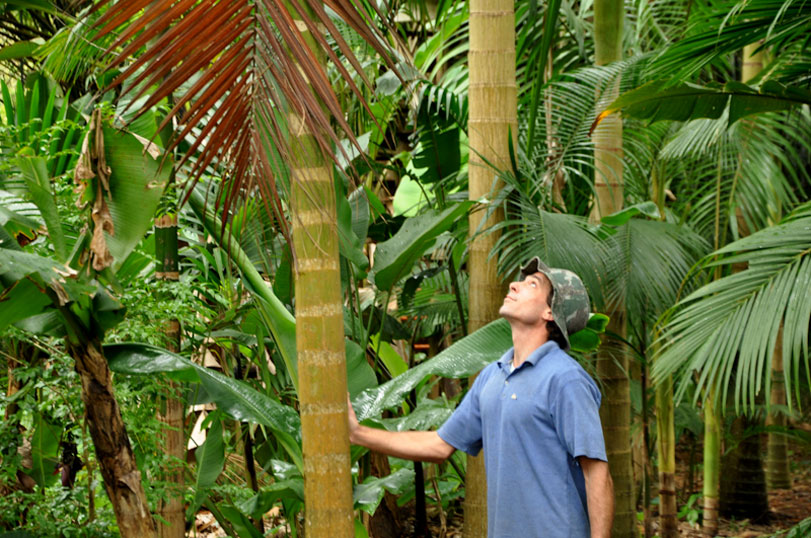 Pedro Faria, agricultor, produtor de mel de abelhas nativas em Florianópolis. Foto: Fernando Angeoletto