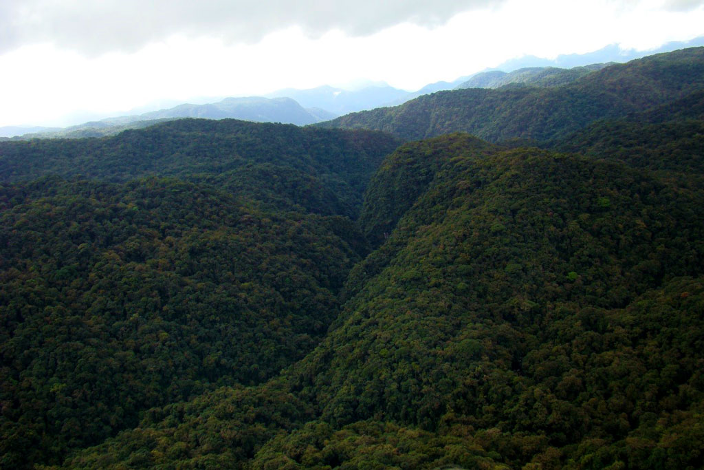 Amostra parcial da vegetação natural e do relevodo interior do Parque Nacional de Guaricana. Foto: Emerson A. Oliveira