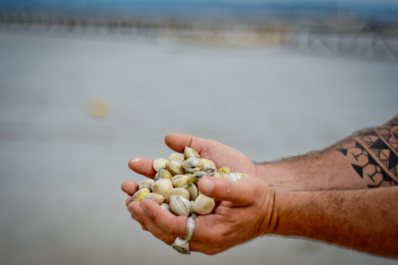 Foto: Fernando Angeoletto