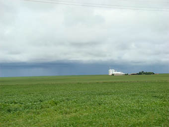 Lavoura de soja no noroeste de Mato Grosso. Agronegócio ocupa 8,6 milhões de hectares no estado. (Foto: Andreia Fanzeres)