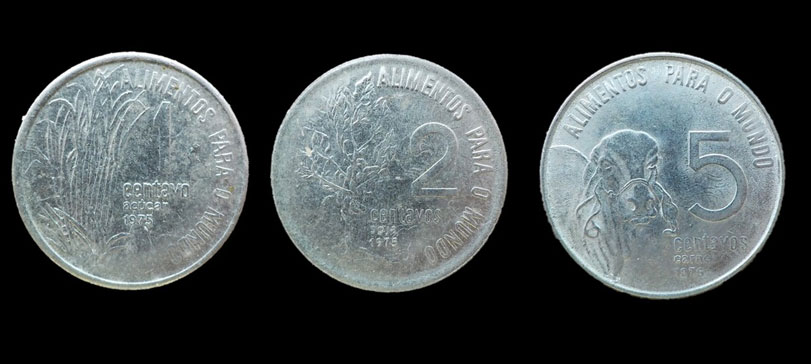 Valores dos anos 70 continuam em voga no Cerrado hoje. O açúcar na moeda de 1 centavo (hoje trocado pelo etanol), a soja na moeda de 2 centavos e a carne na moeda de 5 centavos (não é um boi, ok?) são ainda vistos como motores do agronegócio, embora os alimentos para o mundo não visem, necessariamente, pessoas.