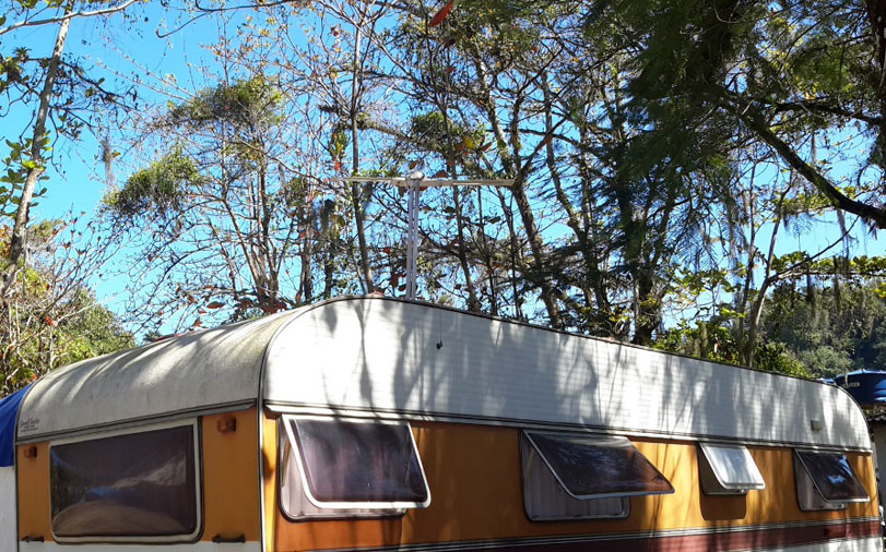 Foto: Guilherme José Purvin de Figueiredo | Clique para ampliar