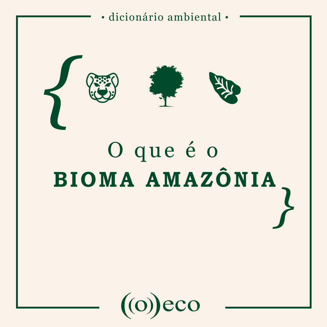 O Que E O Bioma Amazonia O Eco