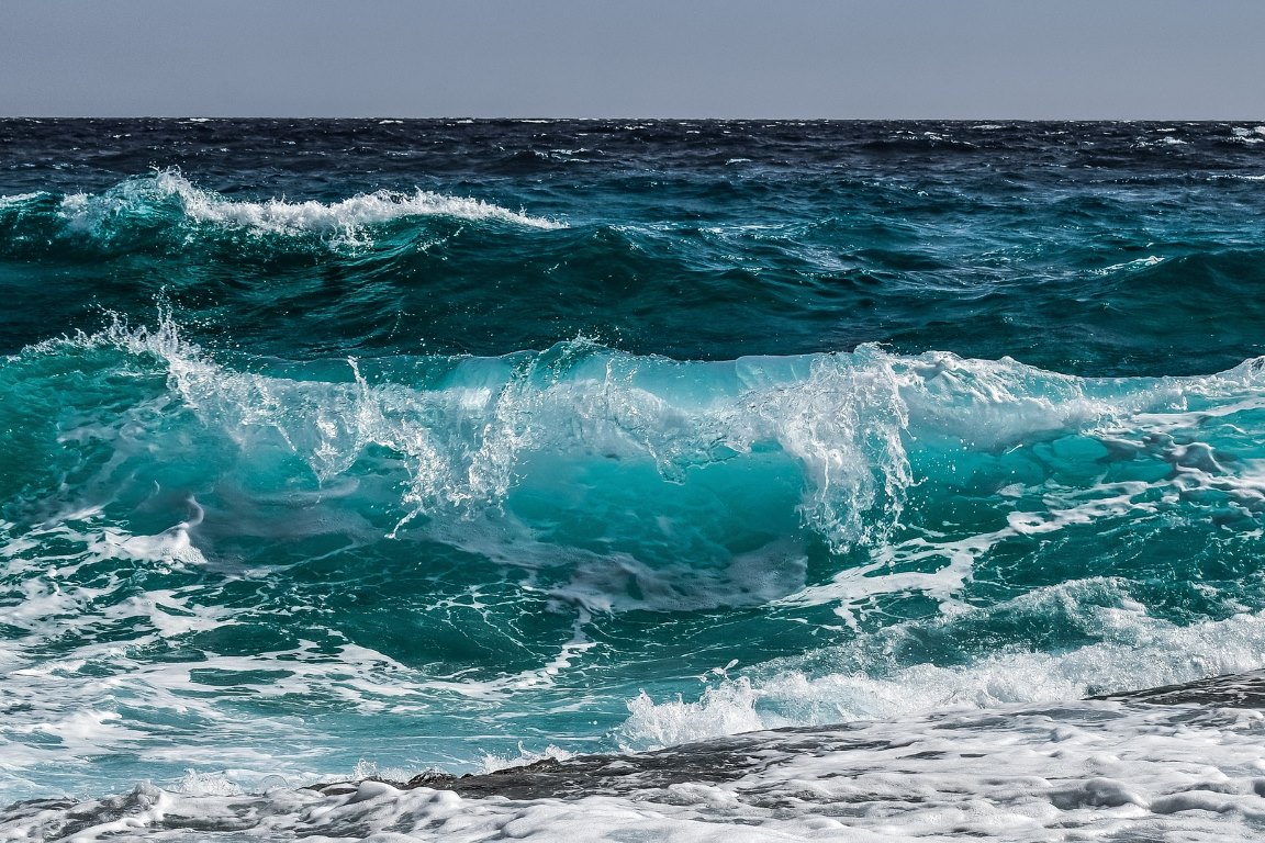 O que seria do Brasil sem o mar?”, provoca Frederico Brandini ...