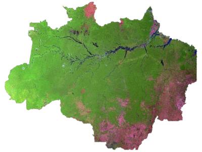 Mosaico de imagens de satélites evidencia, em rosa, o desmatamento mapeado na Amazônia Legal, que afeta todo o ciclo das chuvas. Crédito: Inpe