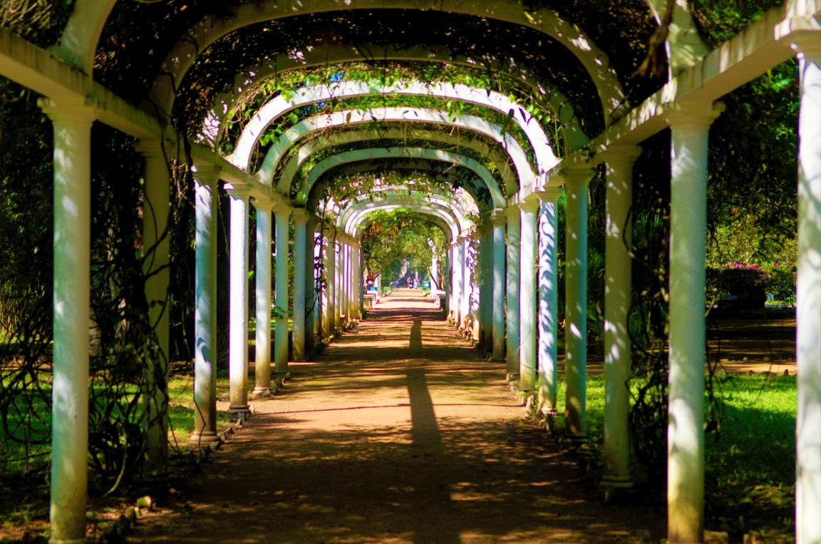 Jardim Botânico do Rio de Janeiro reabrirá a partir desta quinta-feira -  ((o))eco