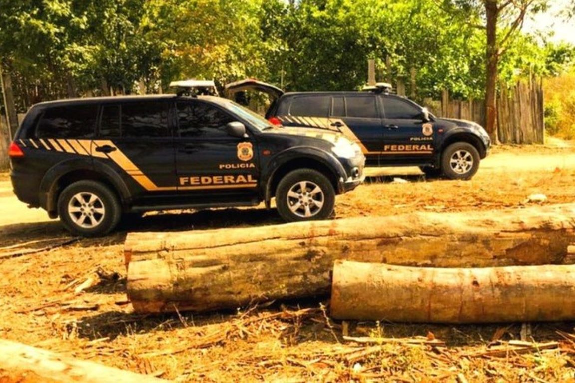 Justiça determina restituição de parte da madeira apreendida pela PF na Amazônia