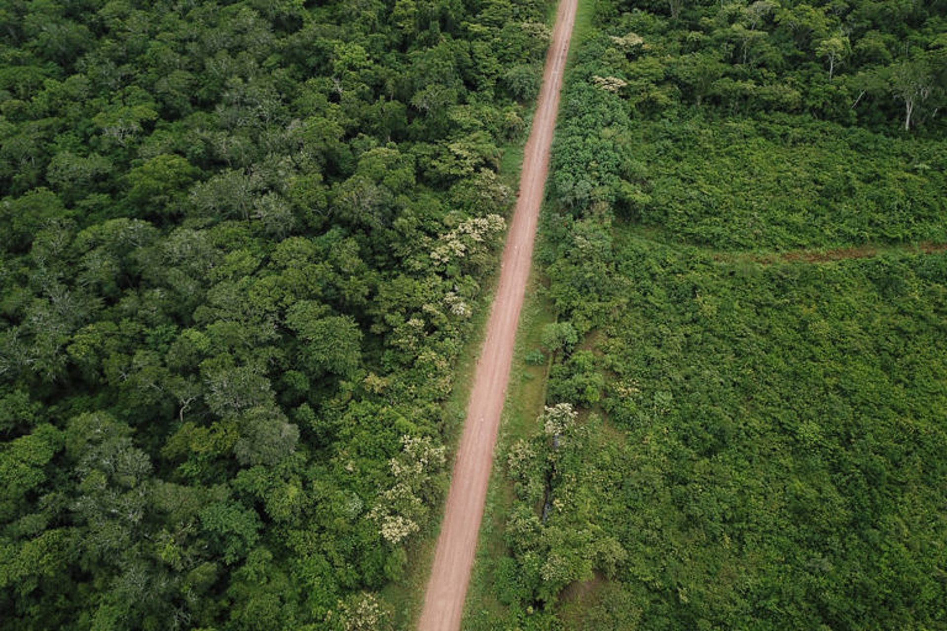 Projetos de estradas na Amazônia podem desmatar 2,4 milhões de hectares nos próximos 20 anos