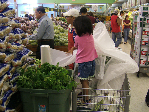 Sacola plástica nos supermercados virou objeto de guerra de informação (foto: supermalnutra)