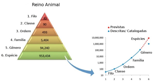 Os cientistas usaram padrões numéricos existentes entre as classificações taxonômicas e fizeram uma projeção de quantas espécies diferentes podem existir no Planeta Terra.