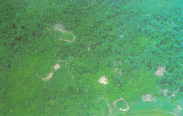 Agricultura migratória tradicional dos índios Ashaninka, no Peru.
